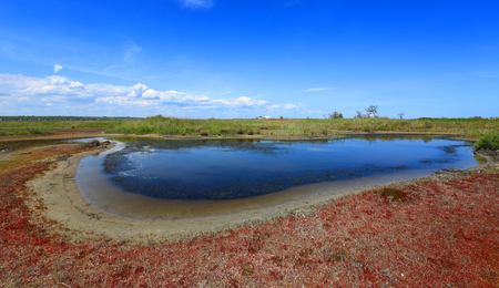 summer scene on small seashore lakeの写真素材