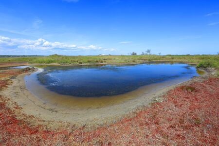 small lake on seashore in summer timeの写真素材