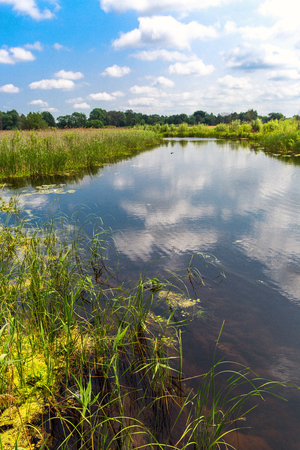 summer scene in river under clouds in skyの写真素材