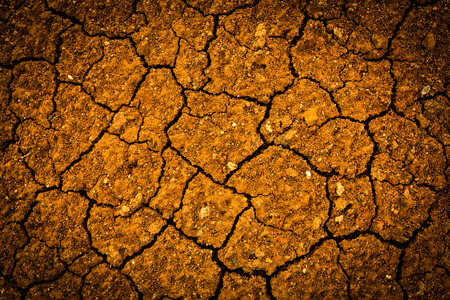 cracked earth surface - abstract natural backgroundの写真素材