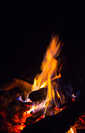 hot flame of campfire in darknessの写真素材