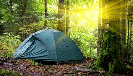 Morning landscape with tourist tent in forestの写真素材