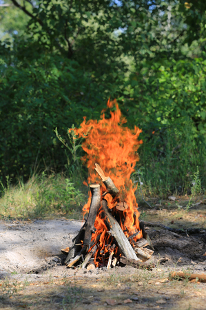 hot camp fire on sunny meadow in forestの写真素材