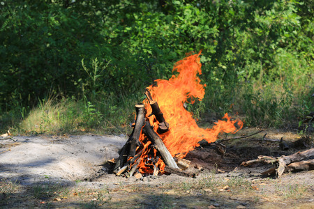 camp fire on meadow in sunny green forestの写真素材