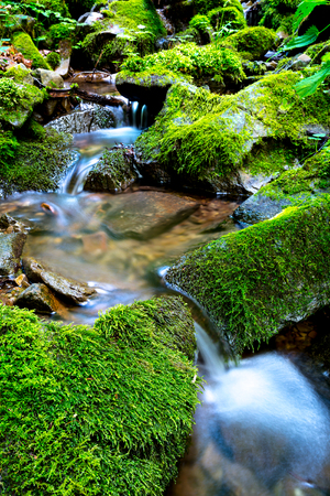 nice scene with small waterfall on mountain stream in green stonesの写真素材