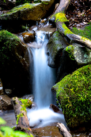 run of small mountain stream in green stonesの写真素材
