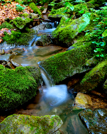 small mountain stream among green stonesの写真素材