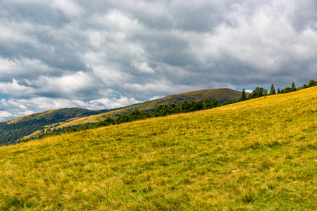 Carpathian's meadow landscape. Take it in Ukraineの写真素材