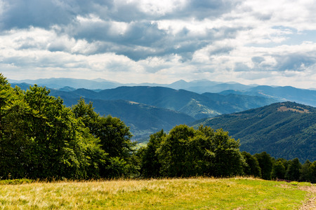 nice autumn scene om Carpathians meadow, Ukraineの写真素材
