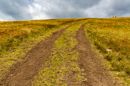 rut road across mountain meadow, Carpathiansの写真素材