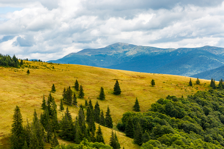 mountain landscape in Carpathians, Ukraineの写真素材