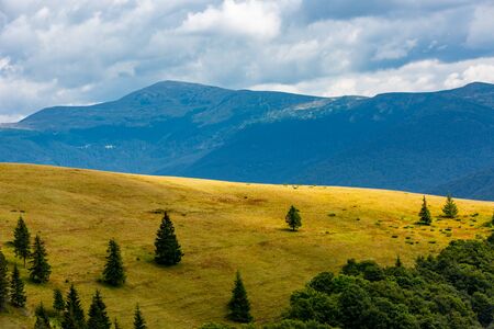 nice scene in carpathian mountains, Ukraineの写真素材