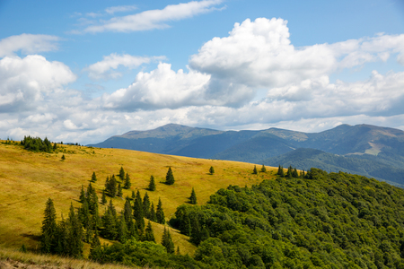 nice mountain scene in Carpathians, West Ukraineの写真素材