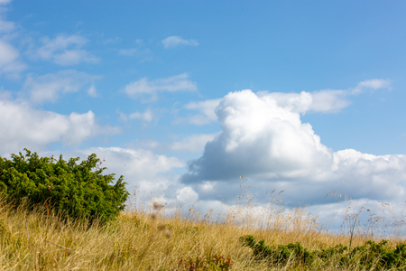 Nice clouds in blue sky over meadowの写真素材
