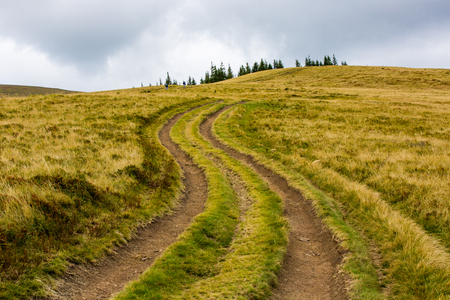 rut road across mountai meadow in Carpathiansの写真素材