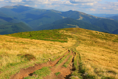 rut road across mountain grassland, Carpathiansの写真素材