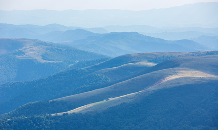 morning view in Carpathian mountainsの写真素材