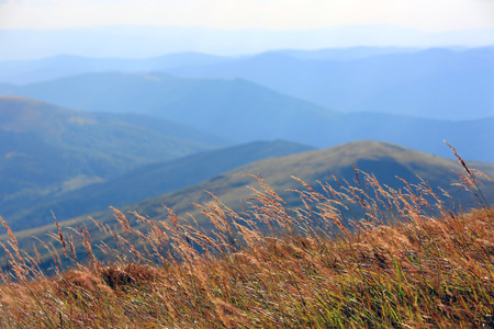 meadow with dry grass in mountainsの写真素材
