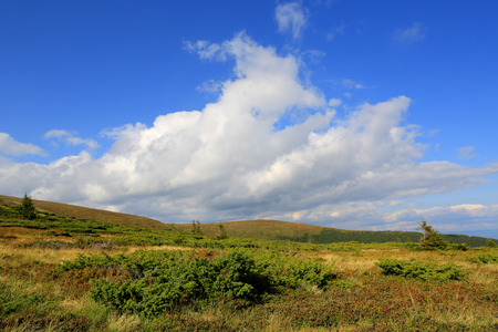 green moutain meadow under white clouds in skyの写真素材