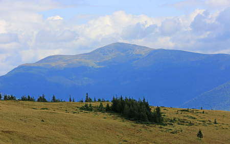 mountain landscape in Carpathians, Ukraineの写真素材