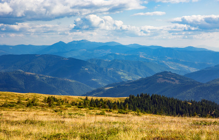 nice mountain view in Carpathiansの写真素材