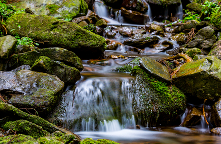 cascade on mountain brook among greeb stonesの写真素材