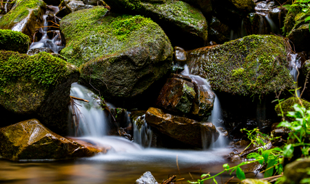 wet green stones in mountain streamの写真素材