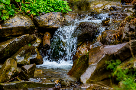view on mountain stream in Carpathians, Ukraineの写真素材