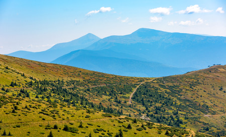 majestic Carpathian mountain landscape in Summerの写真素材