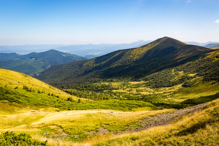 view on mountain valley in Carpathians, Ukraineの写真素材