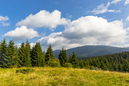 Landscape with meadow in Carpathian mountains, Ukraineの写真素材