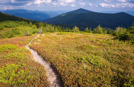 Landscape with pathway in mountainsの写真素材