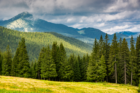 mountains landscape in Carpathians, Ukraineの写真素材