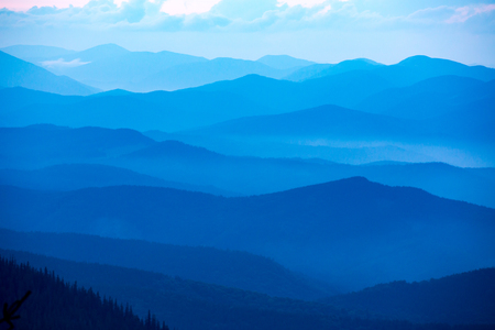 Evenig mist in valley in Carpathiansの写真素材