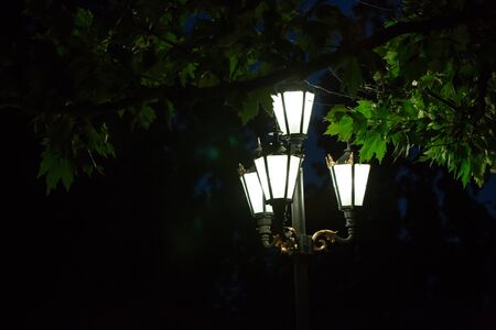 Street lights in the darkの写真素材
