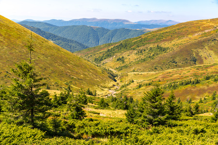 Nice sunny mountain landscape in Carpathianの写真素材