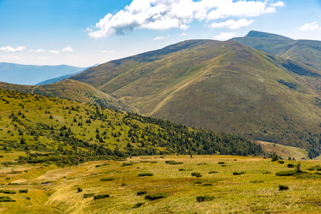 carpathian mountain landscape in sunny dayの写真素材