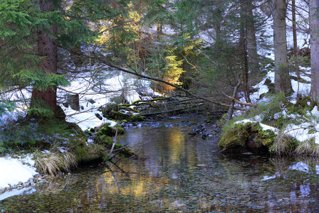 landscape with river in winter forestの写真素材