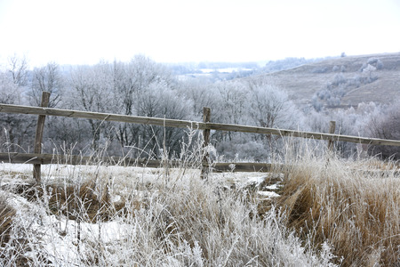 Landscape with wooden fence on winter meadowの写真素材