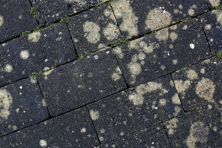 old gray brickwork abstract textureの写真素材