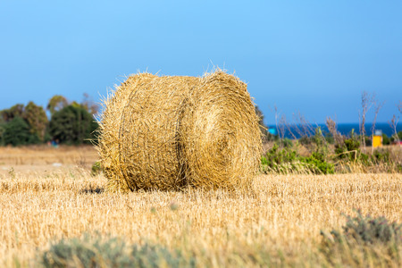 Summer scene with hay roll on agricultural fieldの写真素材