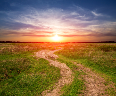 Evening landscape with rut road on susnet sky backgroundの写真素材
