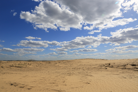 Nice landscape in sandy desertの写真素材