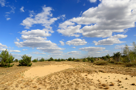 nice sunny day in sandy desertの写真素材