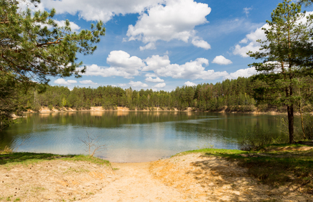 lake in pine forest in sunny dayの写真素材