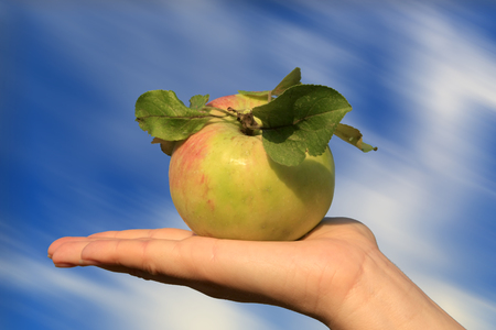 apple on palm of hand on sky backgroundの写真素材