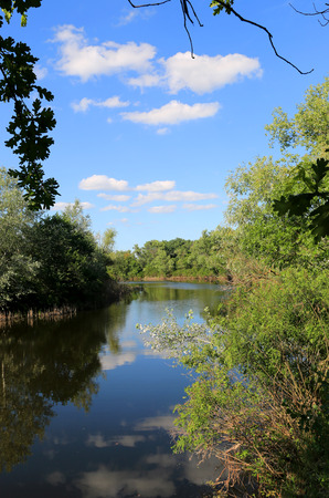 Nice summer day on riverの写真素材
