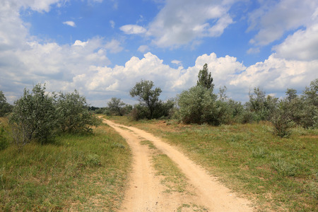landscape with countryside road in summer steppeの写真素材