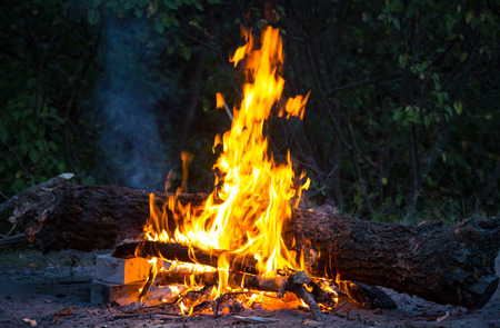 hot flame of camp fire in dark forest