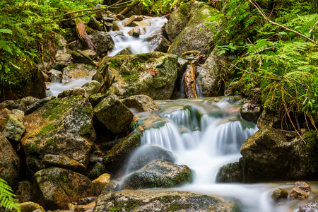 nice mountain brook among wet stonesの写真素材